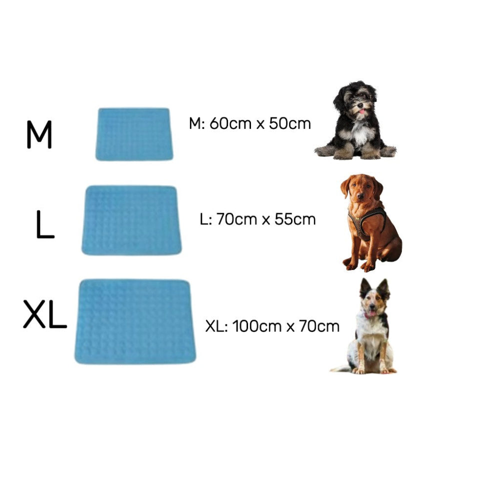 Hundekühlmatte - Dog Flow