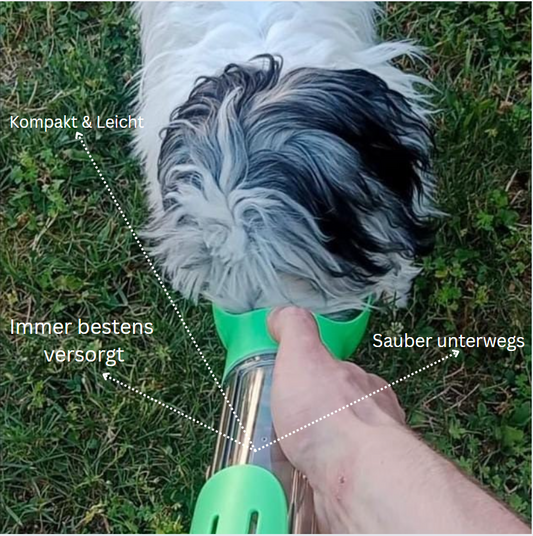 4-in-1 Tragbare Hundetrinkflasche
