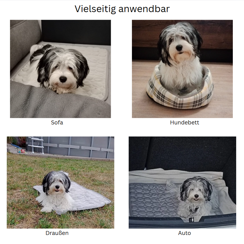 Hundekühlmatte