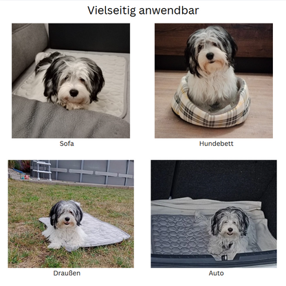 Hundekühlmatte